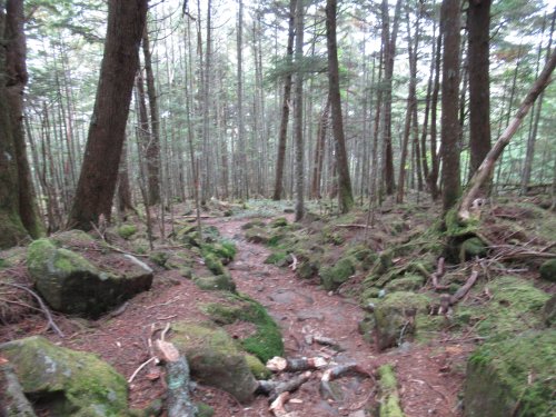 登山道